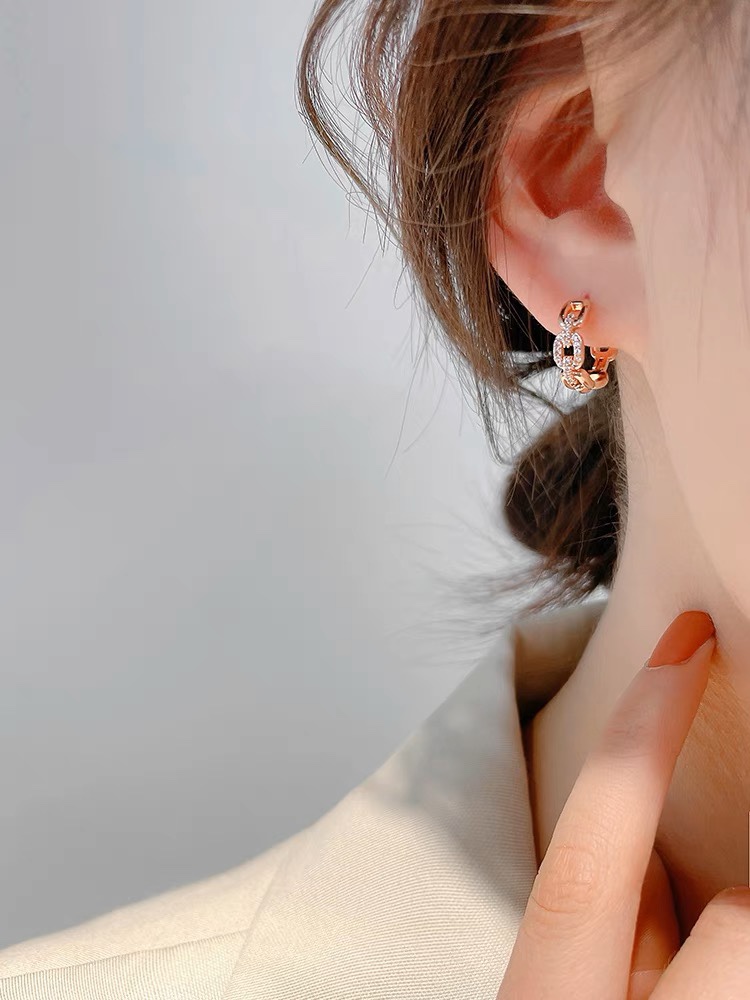 Hermes Earrings